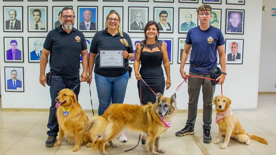 Imagem de capa da Notícia